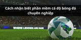 Ưu điểm của những phần mềm cá độ bóng đá chuyên nghiệp uy tín hiện nay.